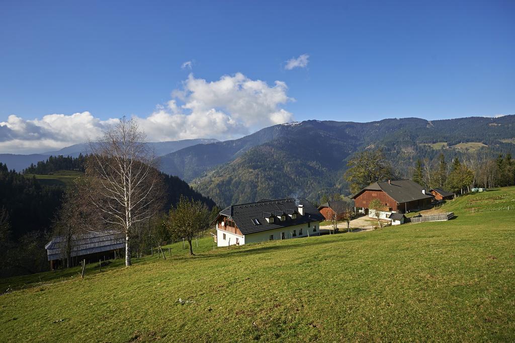 Villa Tourist Farm Kladje Ljubno Exterior foto